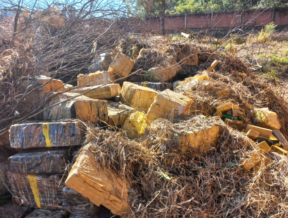 Entre ramas y pasto, ocultaban casi 4 mil kilos de marihuana