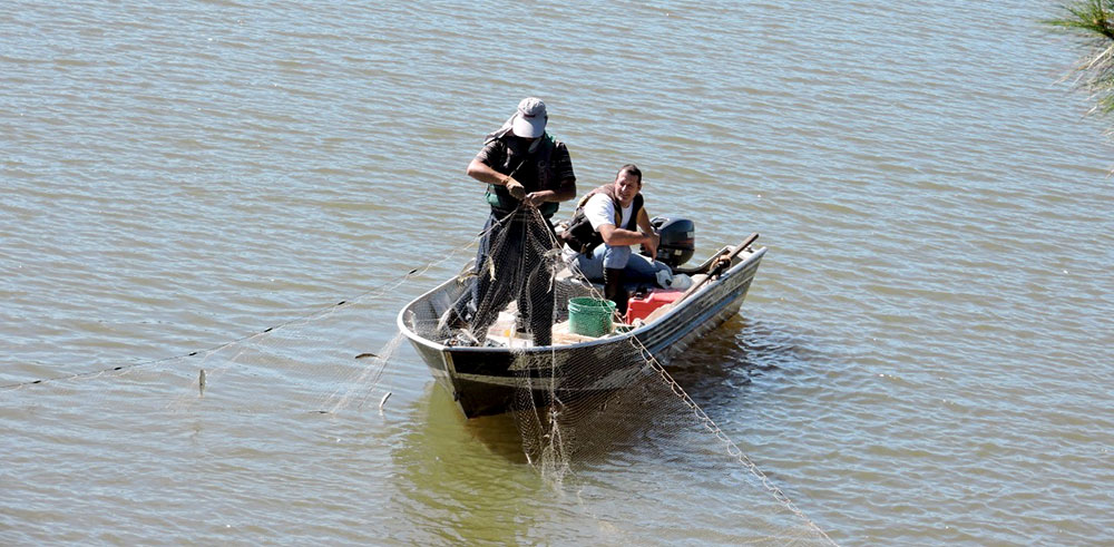 Diez años de la cota 83: recursos pesqueros aguas arriba de Yacyretá