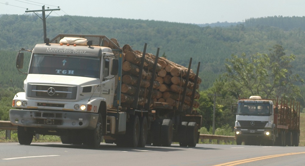 Madereros esperan que Rentas acelere el paso de camiones descargados