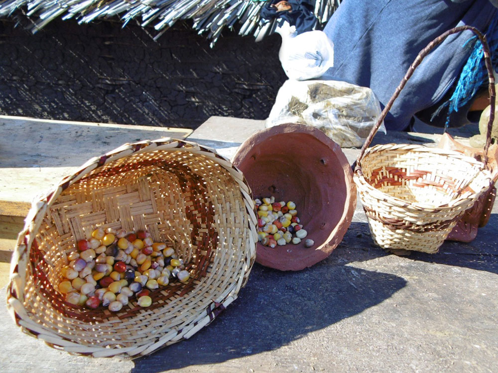 Feria de intercambio de semillas