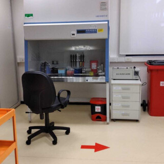 Misiones comenzará a hacer las secuencias de cepas circulantes