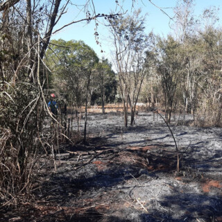 Incendios - Quema de Malezas en Misiones