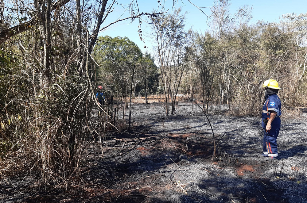 Incendios - Quema de Malezas en Misiones