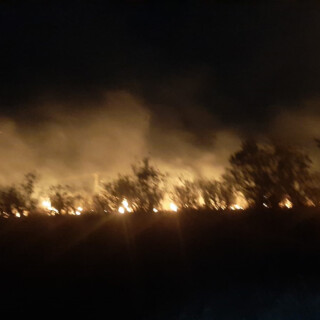 Un nuevo incendio consumió una zona de malezas en Panambí