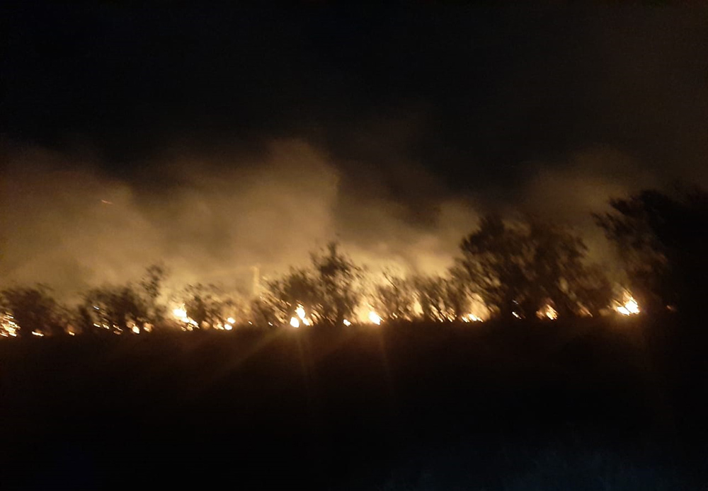 Un nuevo incendio consumió una zona de malezas en Panambí