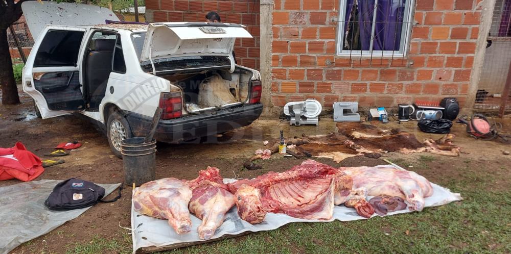 Detuvieron a dos personas en Garupá involucradas en al menos cinco robos