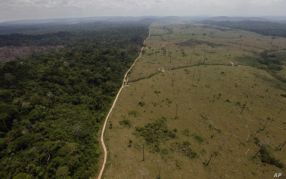 Brasil deforestó área equivalente a 2 veces el tamaño de Paraguay