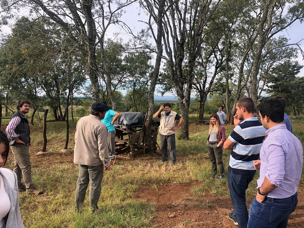 La producción de alimento para la cría de animales en Misiones va por buen camino