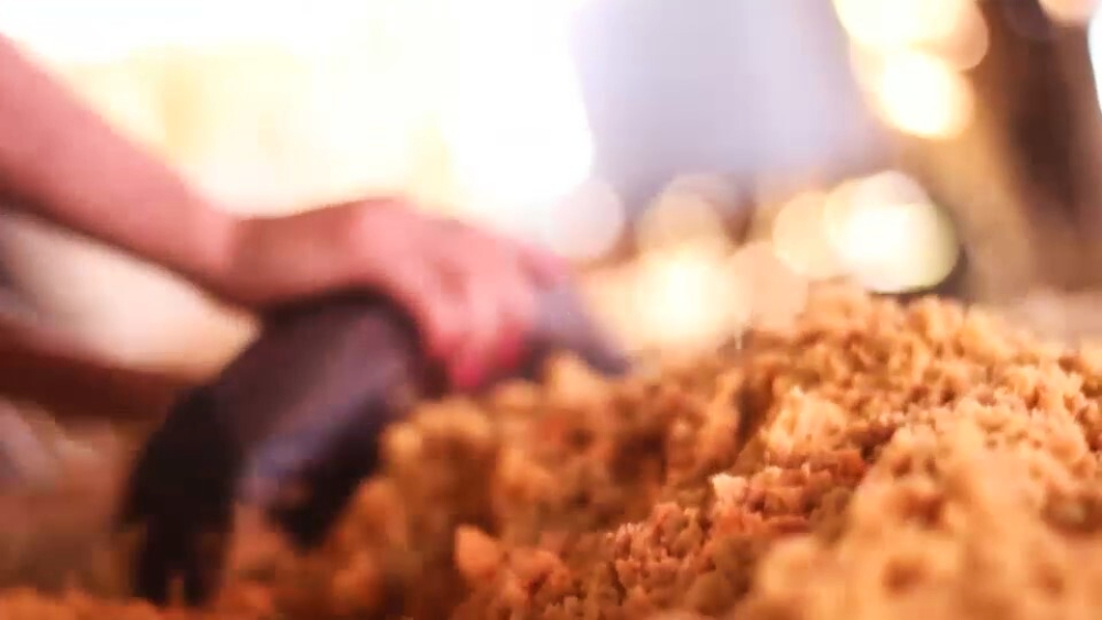 Avanzan con una legislación de fomento a la producción de azúcar rubio artesanal