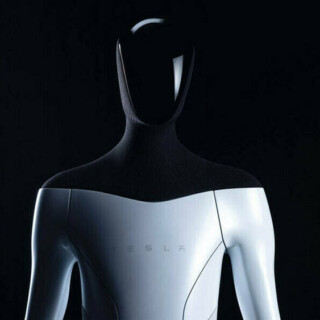 Tesla Bot