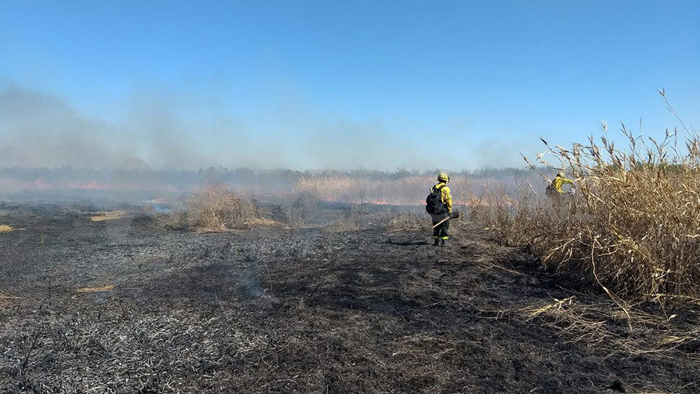 Seis provincias registran incendios forestales activos