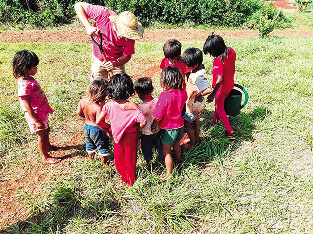 Crece Selva Misionera ya plantó 50 mil árboles en quince municipios