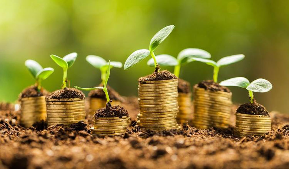 Hasta cuándo se pueden gestionar créditos para inversiones ambientales