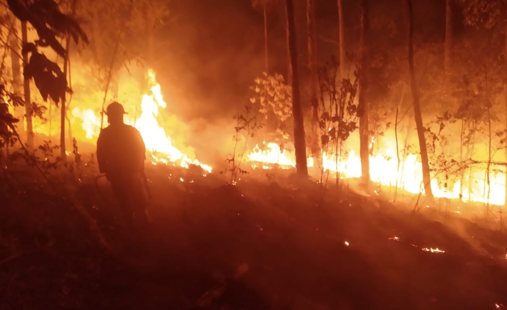 Inconsciencia: lo detuvieron por incendiar 10 hectáreas de plantaciones