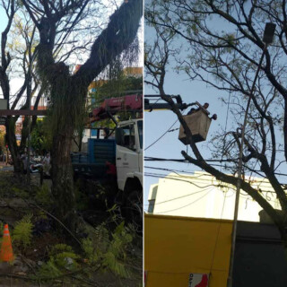 Descacharrización - Operativo Integral de Poda