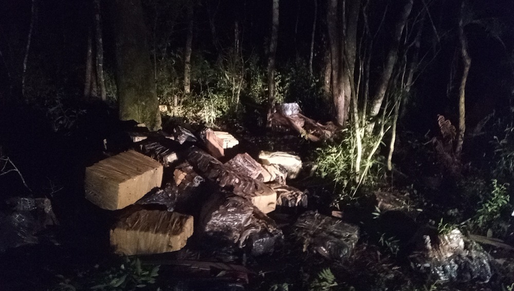 Abandonaron más de una tonelada de marihuana en el monte misionero