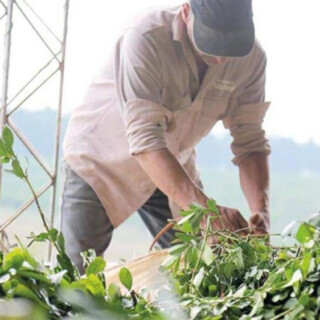 Comenzó a regir compatibilidad de planes sociales con empleo formal