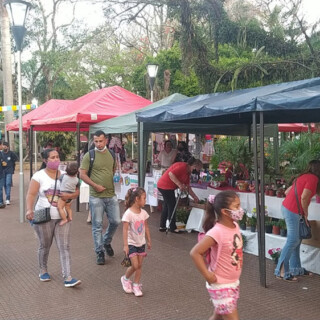 Feria “Eldorado Produce”