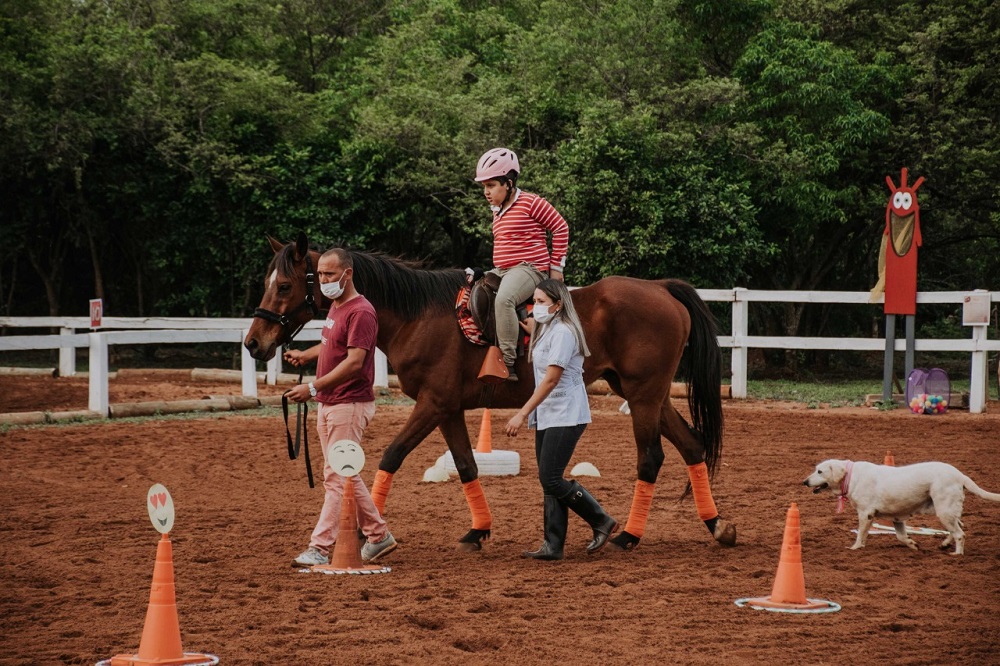 Misiones inauguró un nuevo centro de terapias con caballos y animales