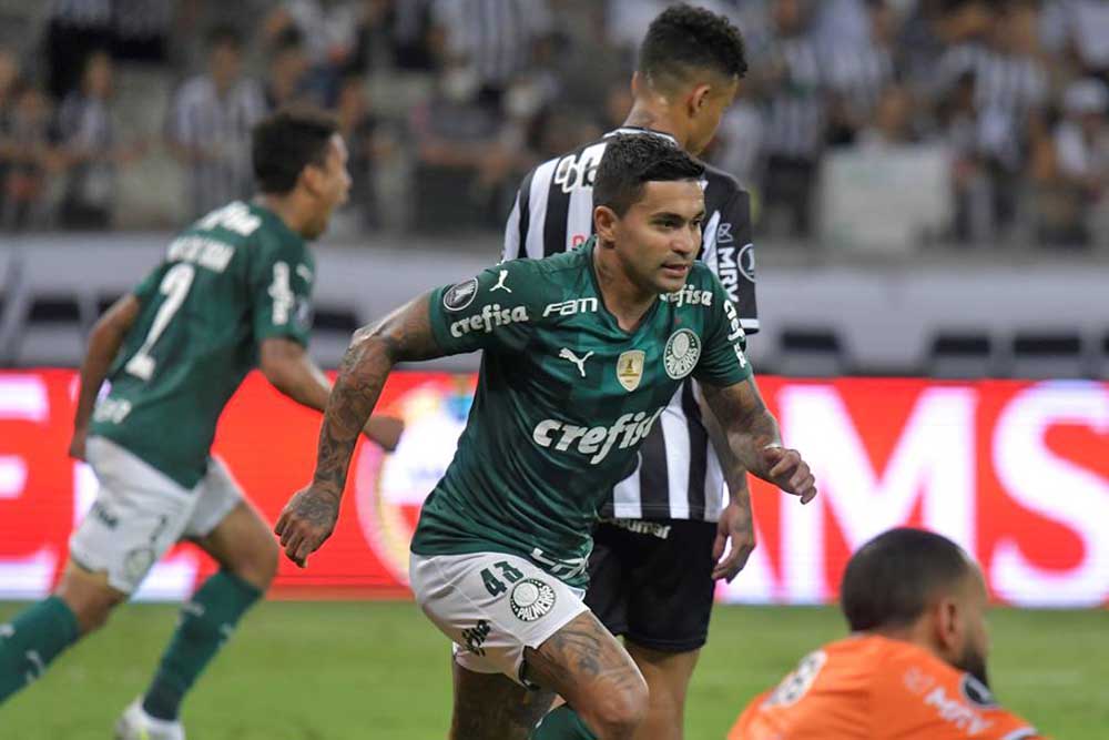 Copa Libertadores - Palmeiras Mineiro