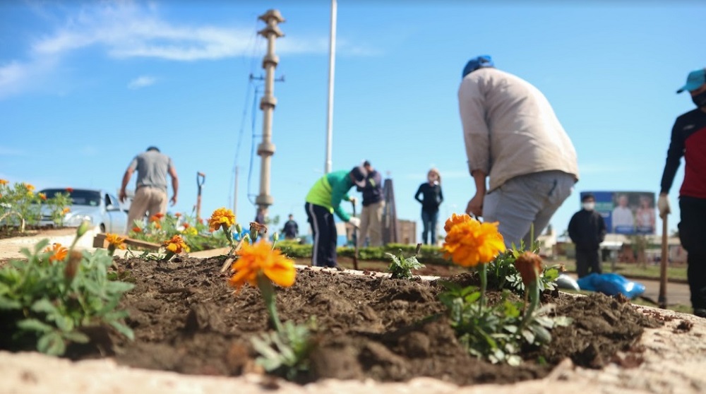 Posadas recibió la primavera con una plantación de flores en Itaembé Guazú