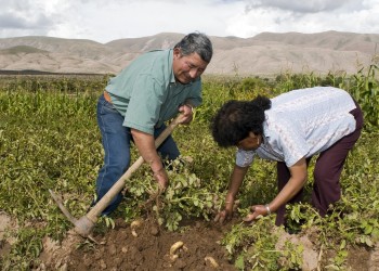 Día de la Agricultura: recuerdan la primera colonia agrícola que se instaló en el país