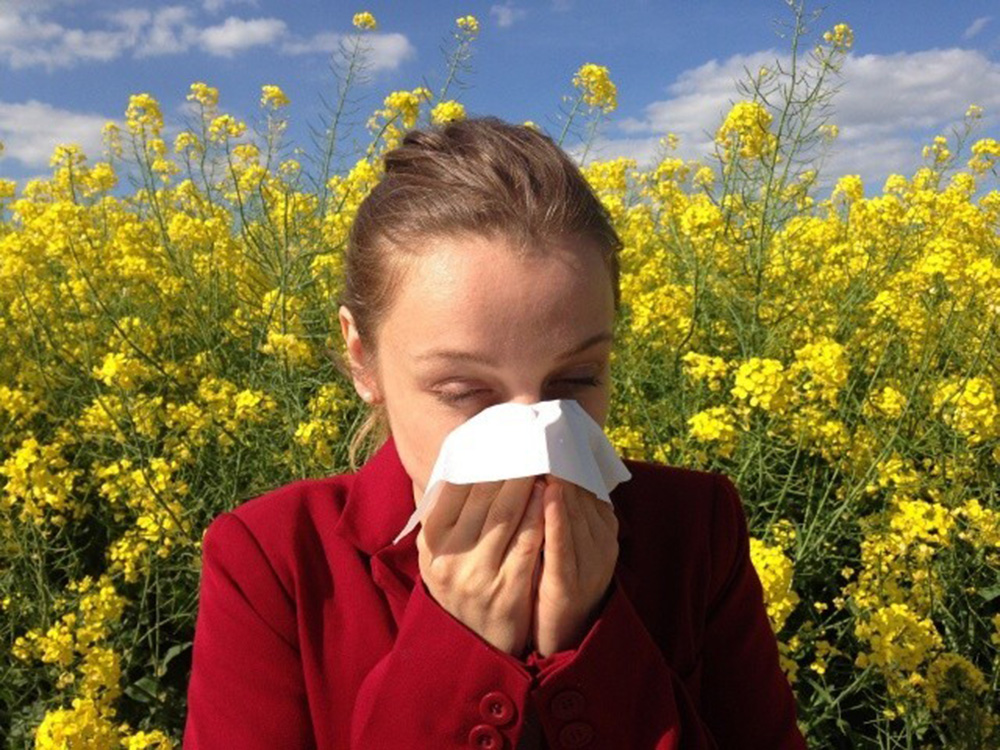 Primavera rinitis alergias