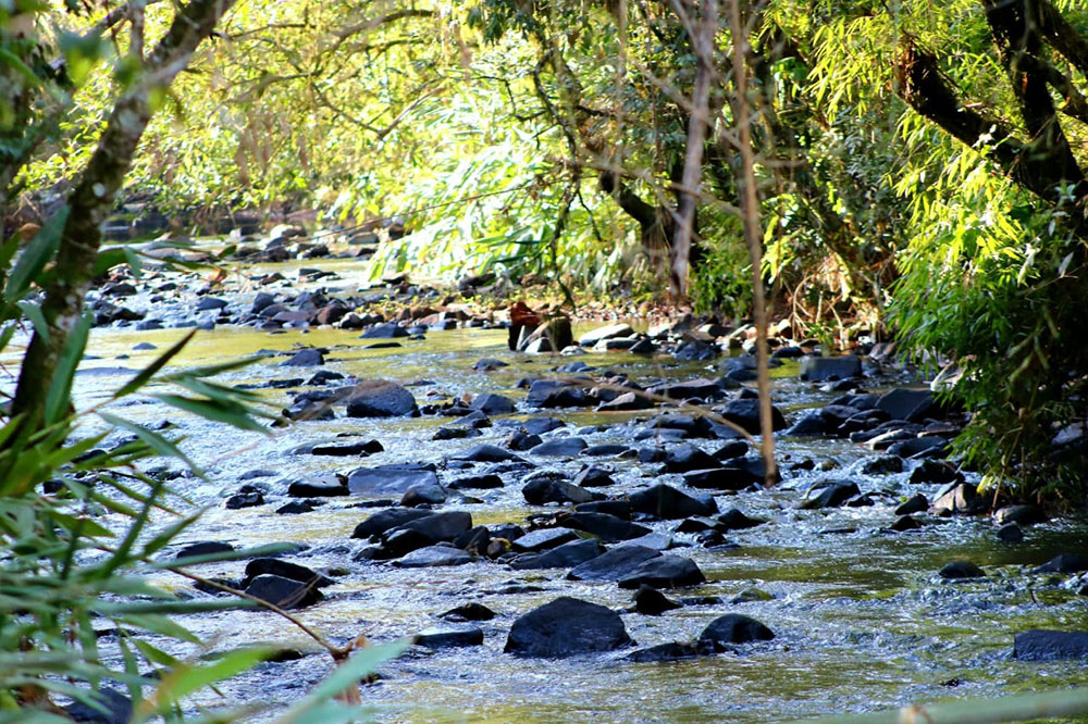 Humedales: “Seguimos peleando para que llegue el reconocimiento a Misiones”