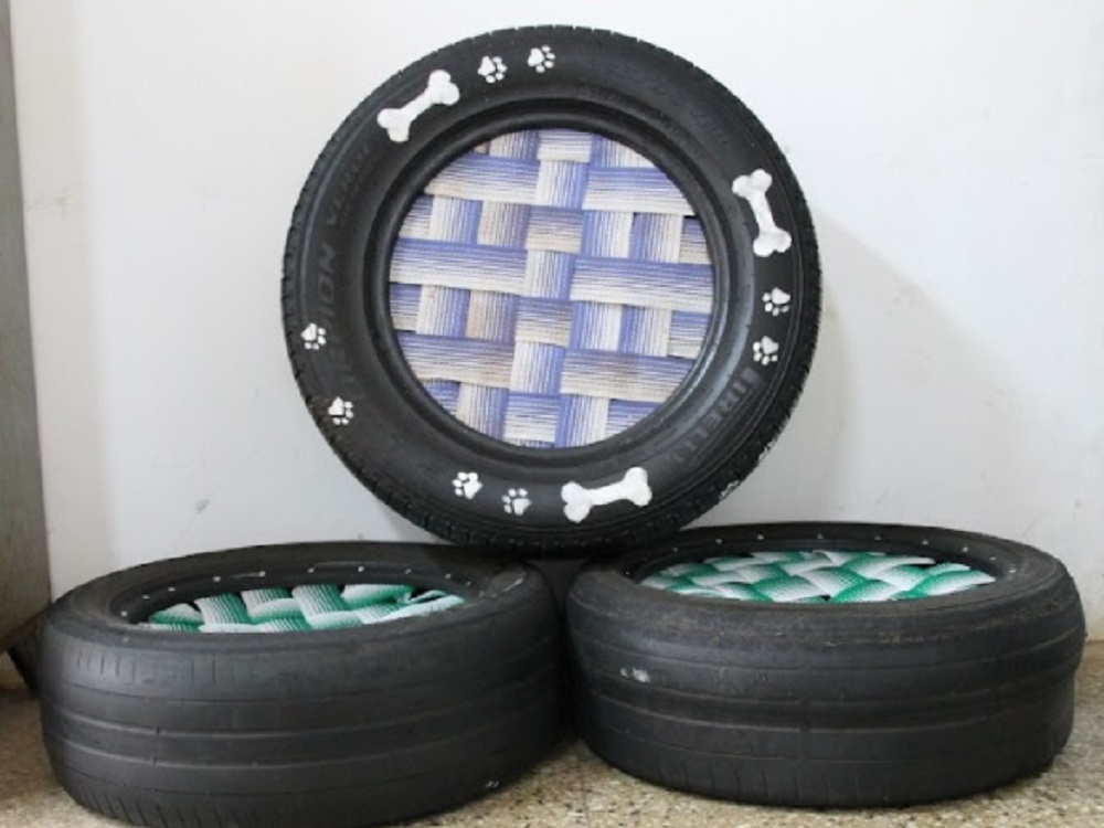 Regalan “cuchas” a las mascotas adoptadas del IMuSA