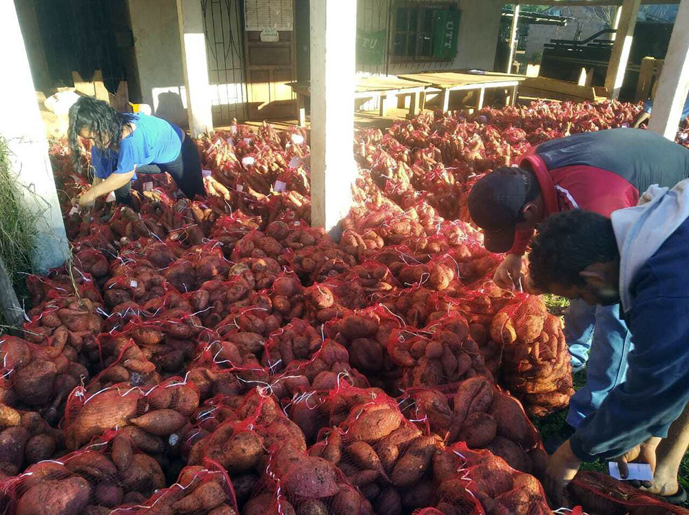 Se abren más canales de ventas y envían productos a Buenos Aires