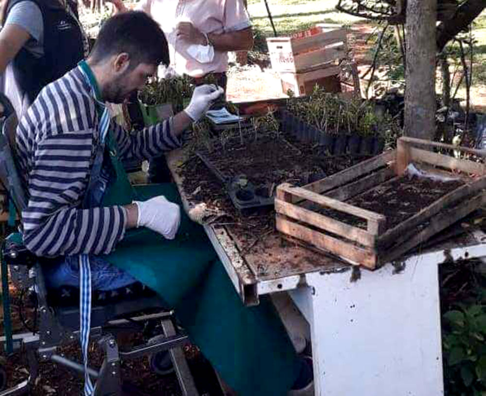 Internos del Hogar Santa Teresa hacen y venden plantines