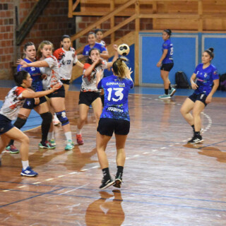 Torneo Regional de Handball- Montecarl