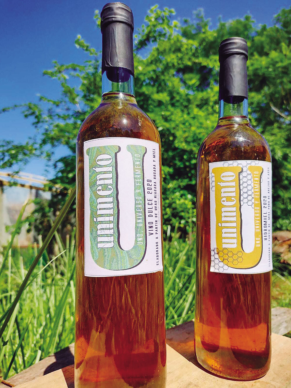 Apuestan a la producción de vinos  e hidromieles con frutos nativos