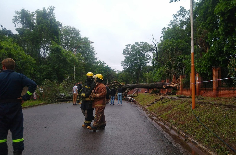 Un árbol cayó sobre dos vehículos dejando heridos