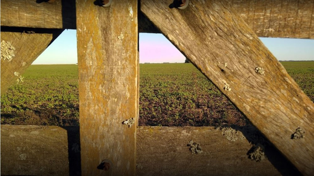 Peligran los pequeños productores por la concentración económica