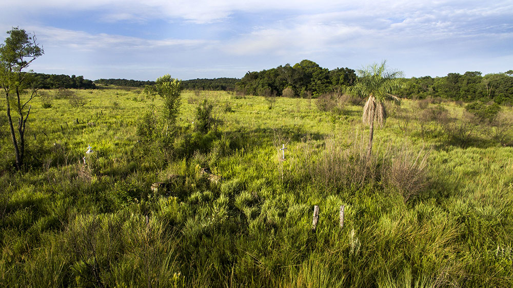 Misiones y la Nación firman acuerdo de cogestión del Parque Campo San Juan