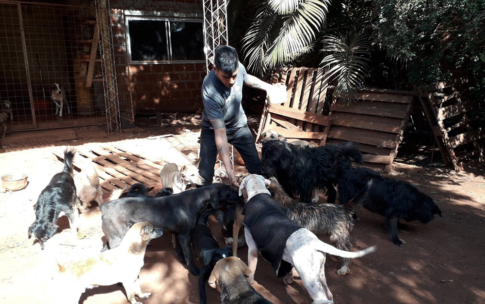 Gabriel Sánchez -adiestrador canino