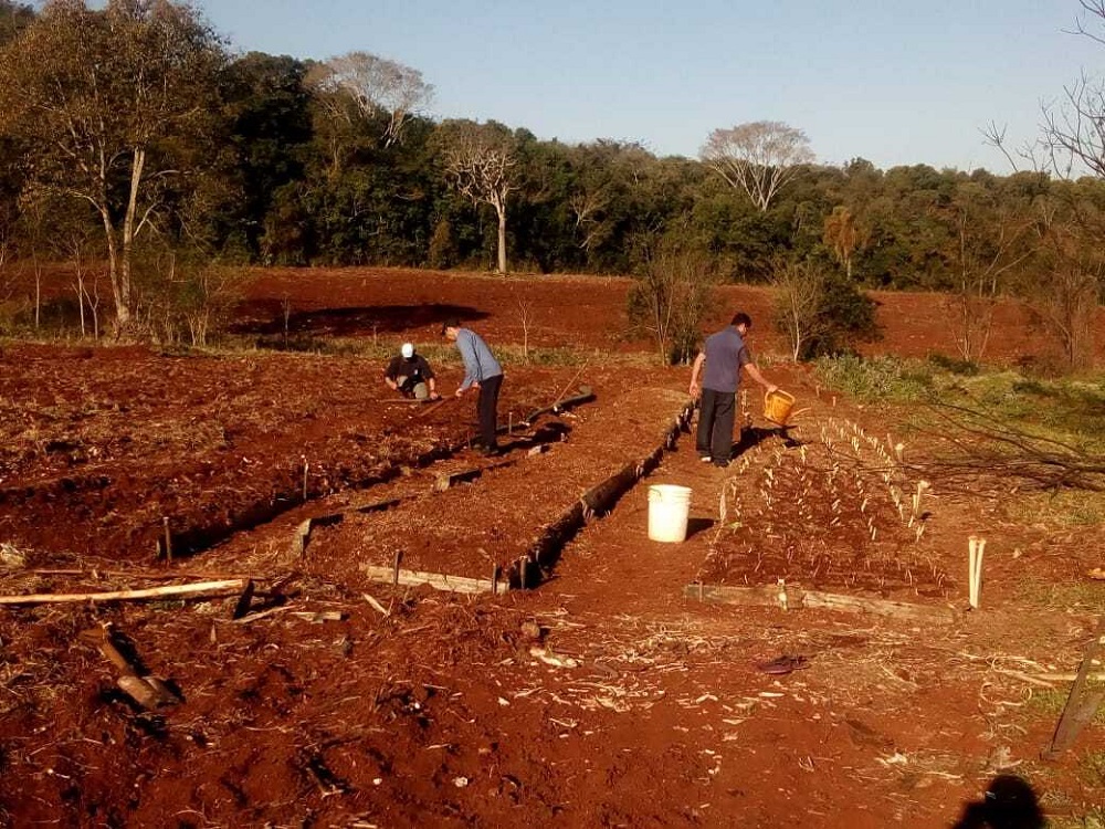 Huertas en la cárcel para mejorar la calidad de vida de sus internos