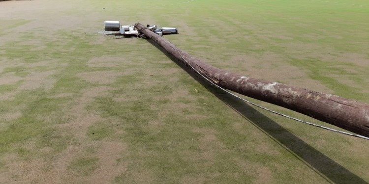 (Imagen ilustrativa)