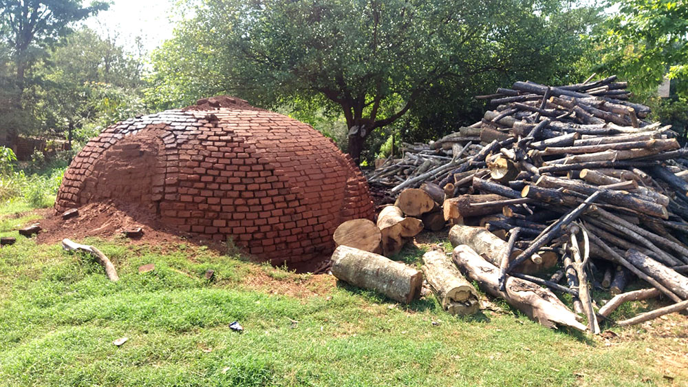 Fortalecen un plan de forestación para incluir al carbonero y leñatero