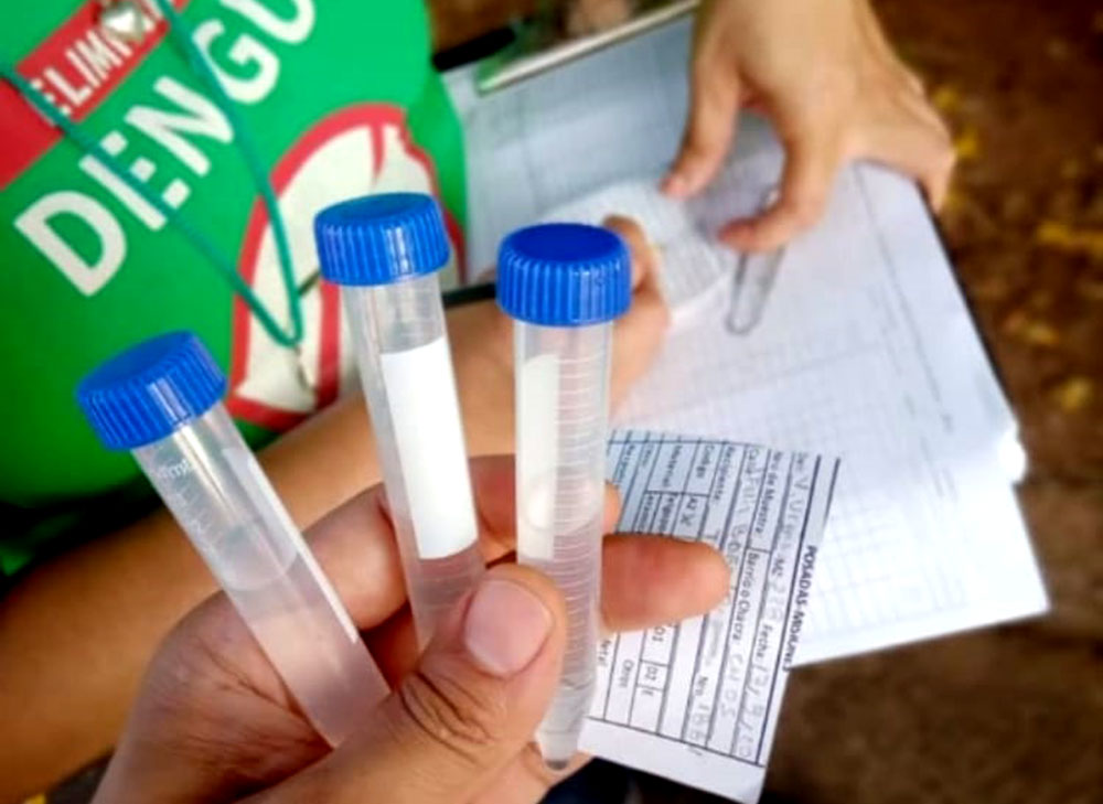 Posadas con índices de criaderos de Aedes de leves a moderados