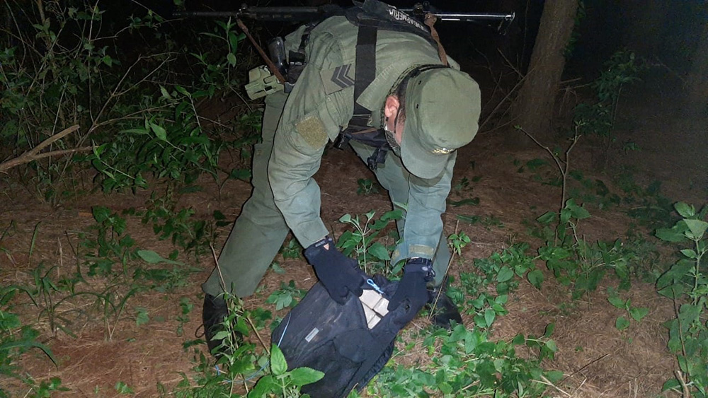 Gendarmería - marihuana