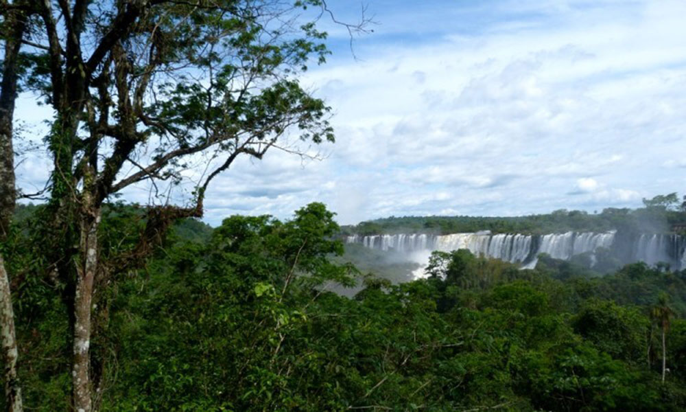 Día de la Conciencia Ambiental: “Misiones puede liderar al país en materia de preservación”