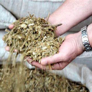 La yerba mate ahora tiene un espacio temático en Vietnam
