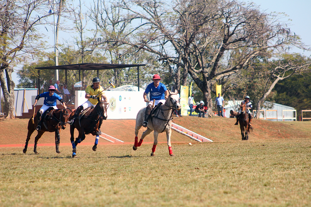 Misiones albergará por primera vez una fecha oficial de la Asociación Argentina de Polo