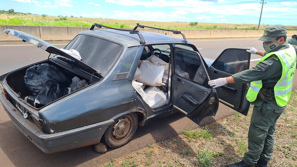 Gendarmería - Marihuana