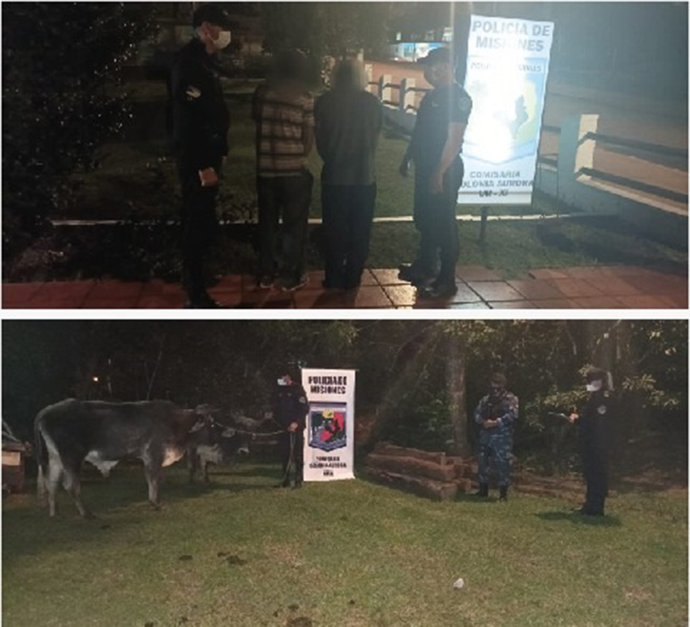 Detienen a dos hombres por talar monte nativo en Colonia Aurora