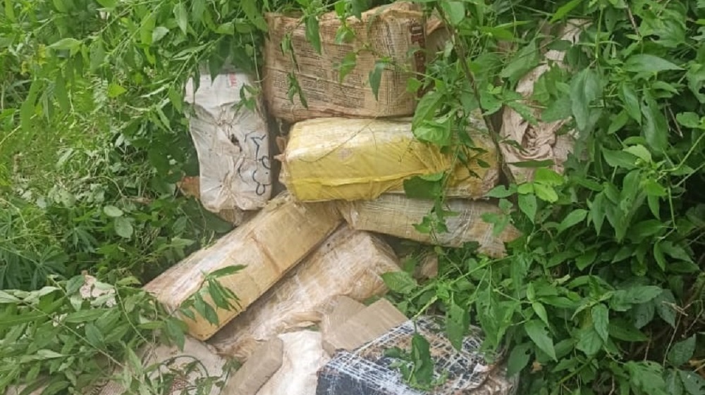 Descubren 759 kilos de marihuana ocultos entre la maleza en el Alto Paraná