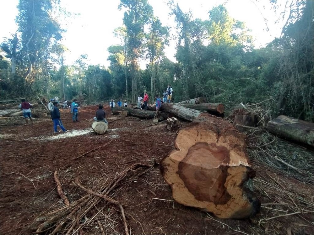 Se recrudece el conflicto entre las comunidades mbya por el uso de tierras