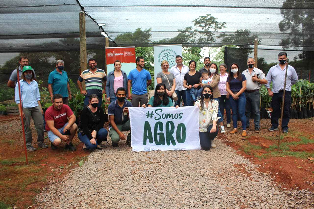 En 10 municipios misioneros se produce banana, palta, mango y maracuyá